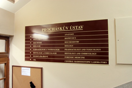 prochazkuv-ustav